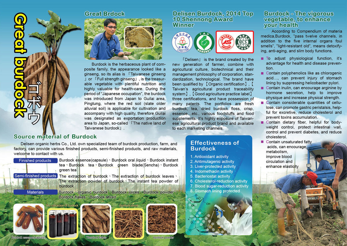 Premium Burdock Root Tea, 100% Natural Burdock Tea
